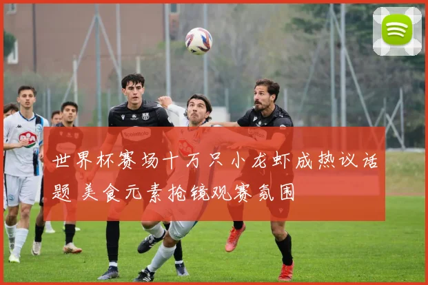 世界杯赛场十万只小龙虾成热议话题 美食元素抢镜观赛氛围